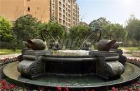 凤凰岛实景图实景图