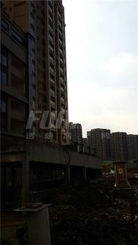仙湖公馆实景图6-27