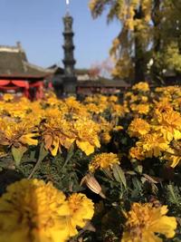 山外山悦城小区（一期）配套图银杏广场-2