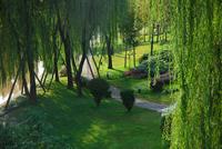 东山国际新城青年广场实景图芦溪河湿地公园