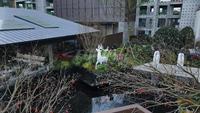 远洋森海境府1期实景图项目实景图