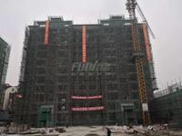 合力达·通锦府1期实景图施工现场