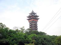信和御龙山配套图塔子山公园