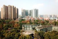 锦水香榭（澳洲湾）实景图实景