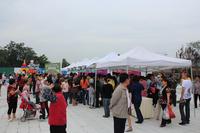 东原西岸活动图现场活动