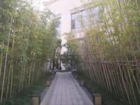 经典西悦城三期小区实景图实景图