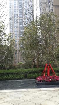 绿地锦天府实景图工程进度