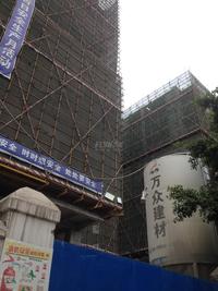 神仙树缤纷实景图2014-6-30