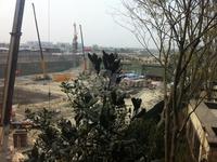 东原时光道实景图工程进度