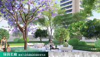 天慧美域天城1期效果图项目效果图
