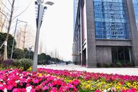 创新时代广场实景图创新时代广场
