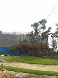 西江河畔实景图2014-5-7