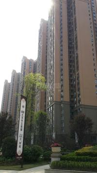 锦蓉佳苑天阔实景图4-2