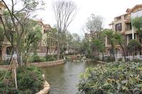 蓝泊湾实景图项目实景图