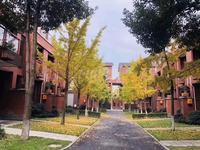 杜鹃城千万间2期实景图杜鹃城千万间B区可居园
