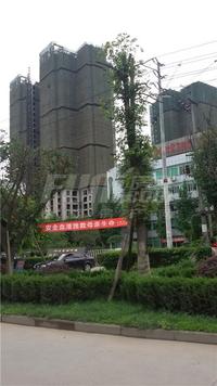 嘉和首座实景图6-29