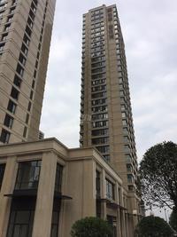泰悦湾实景图6.9