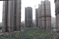 洲际银海湾实景图中庭实景图