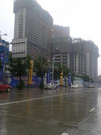 金山御景蓝湾实景图6-13