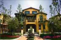 东山国际新城青年广场实景图建设成就