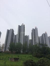 卓锦城6期紫红双郡实景图6.12
