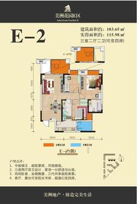 美洲花园户型图E2.jpg
