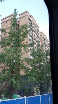 龙城二期领都实景图6-27