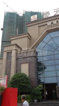 春天国际实景图6-29