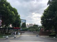 棠湖·华府公园1期配套图成都美视学校