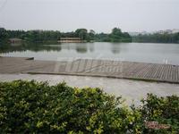 栖湖铭座公寓实景图公园