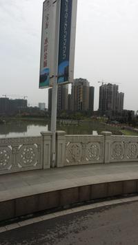 宝龙水岸金城实景图工程进度