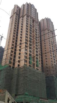 成功红树林实景图4-2