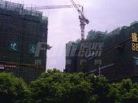 盛世天彭实景图2014-5-20