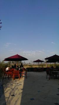 保利狮子湖实景图实景图7