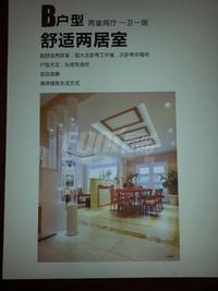 九峰时代广场(白桦林商业中心)效果图效果图