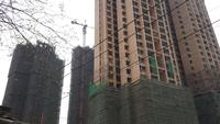 成功红树林实景图4-2