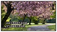 宜华大东展中心效果图效果图