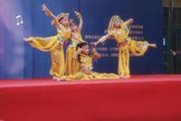 成都后花园国宾红叶活动图活动图