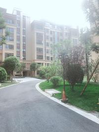 丽都佳苑1期效果图小区效果图