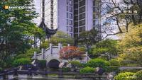 天府和鸣小区1期效果图园林