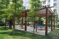 东山国际新城青年广场配套图小区内的健身器材