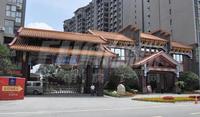 成都合院之院邸实景图7.1
