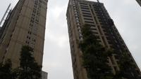 保利康桥实景图工程进度