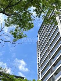 龙湖三千云锦小区1期实景图实景拍摄