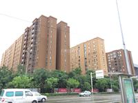 交大归谷国际住区实景图6-4