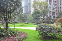 北城映像实景图一期小区实景图