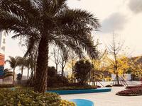 天慧城1期实景图体验区