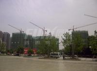 盛世天彭实景图2014-5-20