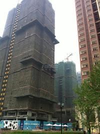合能珍宝琥珀实景图2014.5.13