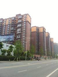 学府杏林二期实景图实景图
